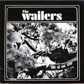 The Wailers - Out of Our Tree
