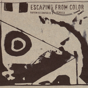 Escaping From Color (Rapoon Recomposed & Remixed)