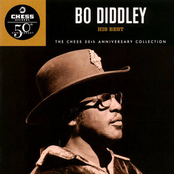 I'm Looking For A Woman by Bo Diddley