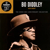 I'm A Man by Bo Diddley