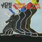 There Is A Girl by Joe Tex