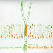 Kaiware Sprouts by Maher Shalal Hash Baz