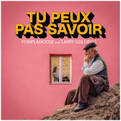 Tu Peux Pas Savoir - Single