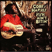 You Got To Move by Corey Harris