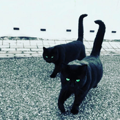 Most Of Our Sensitive Ego