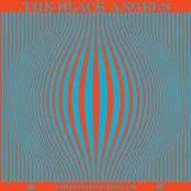 Black Angels: Phosphene Dream