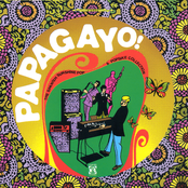 Papagayo! The Spanish Sunshine Pop & Popsike Collection