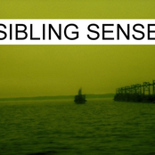 Sibling Sense