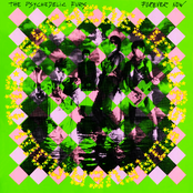 Danger by The Psychedelic Furs