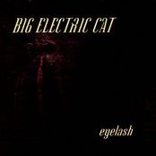 Black Water by Big Electric Cat