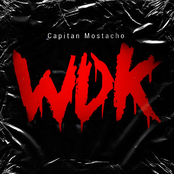 WDK (We Don`t Know)