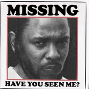 Taylor Made Freestyle