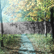 Forest road