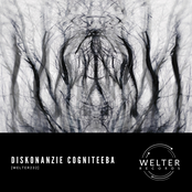 DisKonanZie CogNiteeba [WELTER232]