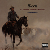 Japanese Cowboy by Ween