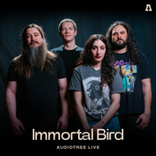 Immortal Bird on Audiotree Live