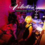 Velveteen (Re-Presents)