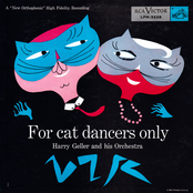 For Cat Dancers Only