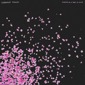 Silence as a Tone of Noise