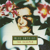 Thirst by Blue Orchids