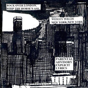 I Done A Poor Job by Wesley Willis