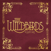 Hard On Me by The Wildbirds