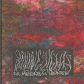 The Graveyard is Haunted