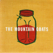 Store by The Mountain Goats