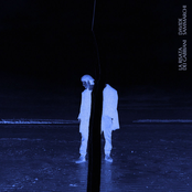 La risata dei gabbiani