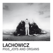 Pigs_Joys and Organs