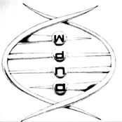 We Don't Need Acronyms