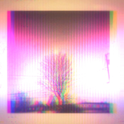 The Poor. The Reign.