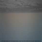 The Blood of the Damned and Waters of False Prophecy