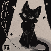 Moody Cat