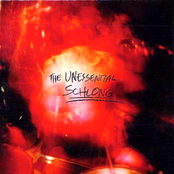 The Unessential Schlong