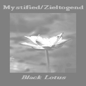 Black Lotus