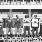 h.i.s.d. (hueston independent spit district)