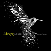 So Still Extended Version