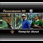 Apocalipse 16 & Templo Soul