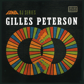 Fania DJ Series - Gilles Peterson