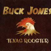Texas Rooster