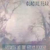 Secrets at the Steam Forest