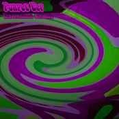 Evolutionary Outcome