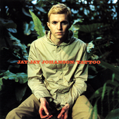 I Guess I'm Just A Fool by Jay-jay Johanson