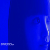 Psychedelic Meltdown