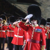 the coldstream guards band