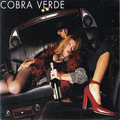 Every God For Himself by Cobra Verde