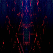 Sophia Cocoon