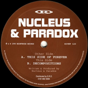 Decompositions by Nucleus & Paradox