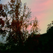 When I See The Sky Your Face Is In There (And A Cat Is Jumping On Your Brain) - Vol. 5